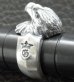 Photo10: Eagle Ring