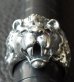 Photo15: Legendary Lion Ring