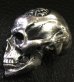 Photo14: Large Brains Skull Full Head Ring