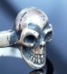 Photo9: Twelve Skull On Flat Bar Ring