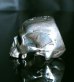Photo7: Large Skull Full Head Ring Without Jaw