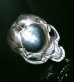 Photo14: Large Skull Full Head Ring Without Jaw