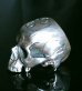 Photo13: Large Skull Full Head Ring Without Jaw
