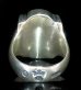Photo4: Half Raised Atelier Mark Shield Ring
