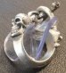 Photo10: Old Bulldog With Skull Triangle Wire O-ring & T-bar Ring