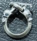 Photo1: Panther With Skull Triangle Wire O-ring & T-bar Ring (1)