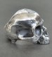 Photo5: Half Large Skull Ring Without Jaw (5)