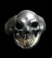 Photo1: Black Old Single Skull With 18k Gold Teeth Ring (1)