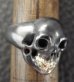 Photo5: Black Old Single Skull With 18k Gold Teeth Ring