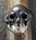 Photo12: Black Old Single Skull With 18k Gold Teeth Ring