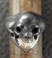 Photo6: Black Old Single Skull With 18k Gold Teeth Ring