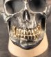 Photo10: Black Large Skull With 18k Gold Teeth Ring