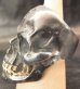 Photo9: Black Large Skull With 18k Gold Teeth Ring