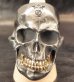 Photo8: Black Large Skull With 18k Gold Teeth Ring