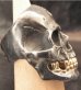 Photo7: Black Large Skull With 18k Gold Teeth Ring