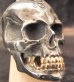 Photo6: Black Large Skull With 18k Gold Teeth Ring