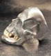 Photo14: Black Large Skull With 18k Gold Teeth Ring