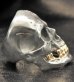 Photo13: Black Large Skull With 18k Gold Teeth Ring