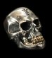 Photo1: Medium Large Skull 18k Gold Teeth Ring with Jaw (1)