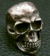 Photo10: Large Skull With Joe War Ring