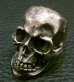 Photo8: Large Skull With Joe War Ring