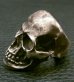 Photo7: Large Skull With Joe War Ring