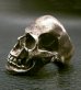 Photo2: Large Skull With Joe War Ring (2)