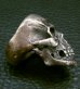 Photo17: Large Skull With Joe War Ring