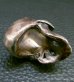 Photo12: Large Skull With Joe War Ring