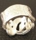 Photo9: Snake Ring (Platinum Finish)