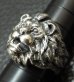 Photo4: Old Lion Ring