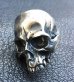 Photo6: Large Skull Ring Without Jaw