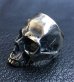 Photo11: Large Skull Ring Without Jaw