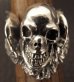 Photo17: Skull Wing Ring