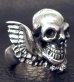 Photo5: Skull Wing Ring