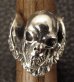 Photo16: Skull Wing Ring