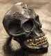 Photo4: Xconz Collaboration 18k Gold Teeth Large Skull Ring 2nd generation (4)