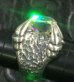 Photo5: Mysteric Crystal Master Predator Ring