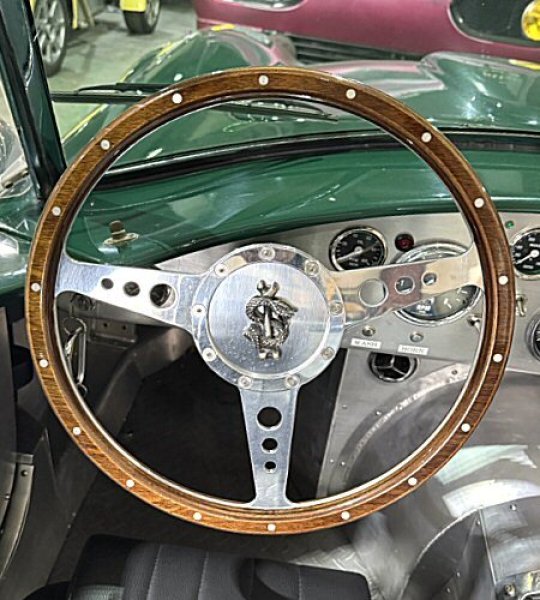 Photo1: Gaboratory Snake & Born Steering Wheel Ornament (1)