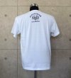 Photo3: Staff T-shirt [White] (3)