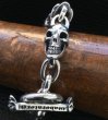 Photo16: All Skulls Link Bracelet (16)