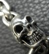 Photo8: Single Skull With Small Oval Links Bracelet (8)