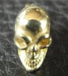 Photo2: Gold Twelve Small Skull Pierce (2)