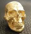 Photo10: Gold Large Skull Ring With Jaw (Mat Color Finish) (10)