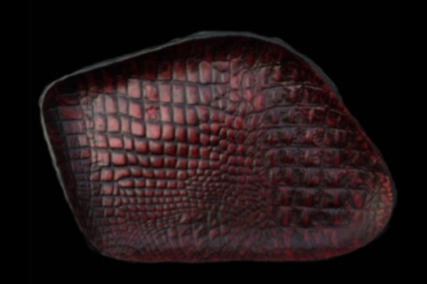 Photo1: Gaboratory Alligator Textured Leather Gun Tray [Red] (1)