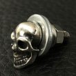 Photo2: Skull Bolt & Nut (2)