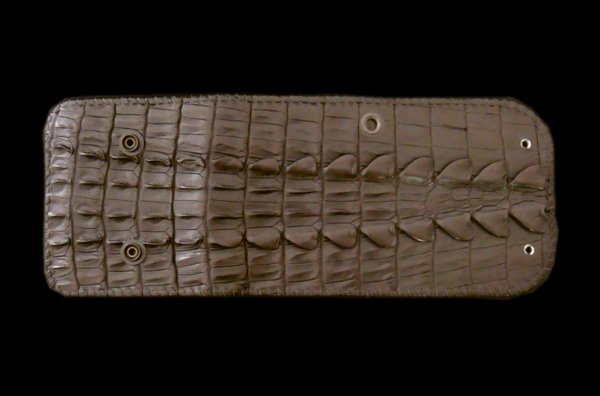 Photo1: Crocodile Tail W-Spine(L) Half Wallet (1)