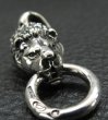 Photo9: Half Lion Pendant (9)