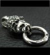 Photo2: Half Lion Pendant (2)