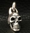 Photo7: Single Skull With Long O-ring Pendant (7)